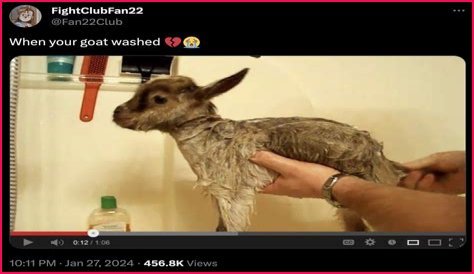 How To Know When Your GOAT Offer Is Accepted